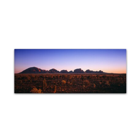 David Evans 'Kata Tjuta Sunrise' Canvas Art,8x24